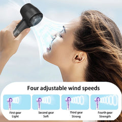 Portable Misting Fan