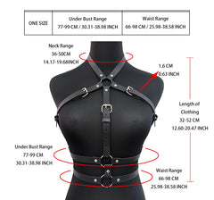 Essential Harness